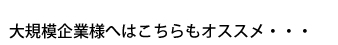 大企業様は